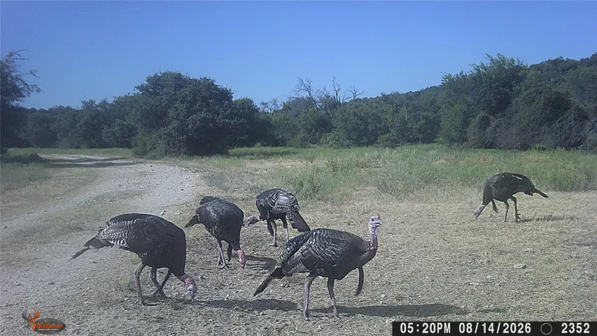 May, TX 76857