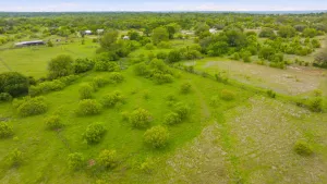 Aledo, TX 76008