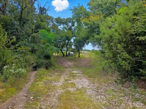 Jonesboro, TX 76538