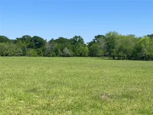 Lake Creek, TX 75450