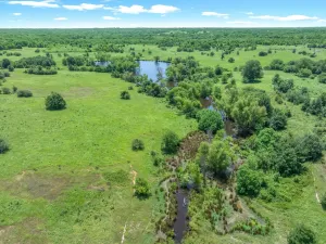 Edgewood, TX 75117