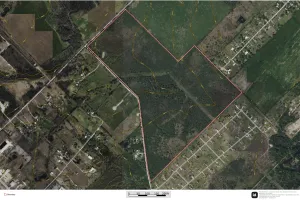 Terrell, TX 75160