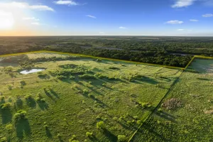 Montague, TX 76261