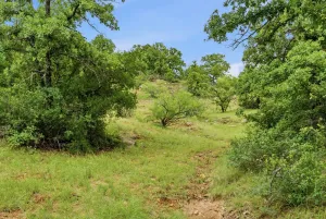 Bowie, TX 76230