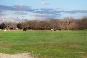 Bartonville, TX 76226