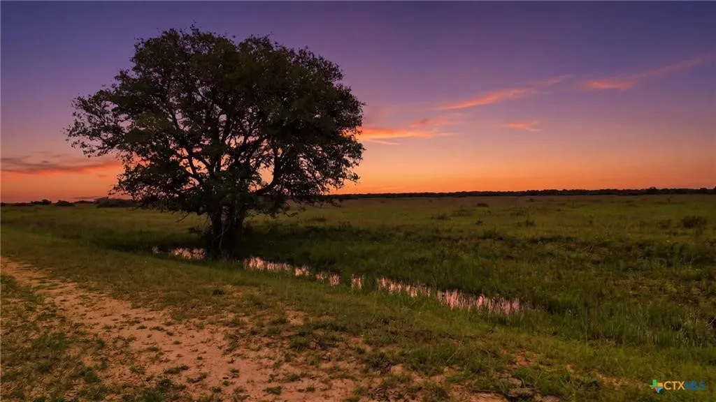 Hallettsville, TX 77964