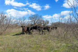 Granbury, TX 76049