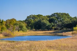 Aquilla, TX 76622