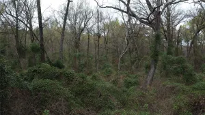 Pittsburg, TX 75686