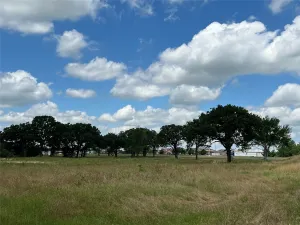 Sulphur Springs, TX 75482