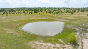 Carlton, TX 76436