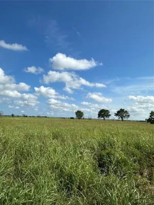 Honey Grove, TX 75446