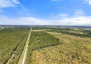 Sour Lake, TX 77659