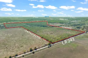 Terrell, TX 75160