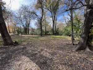 Sulphur Springs, TX 75482