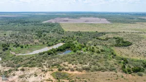 Throckmorton, TX 76843