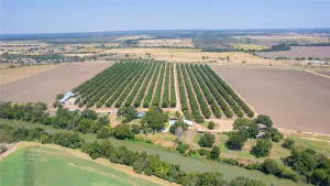 San Saba, TX 76877