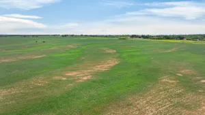Granbury, TX 76049