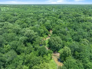 Edgewood, TX 75117
