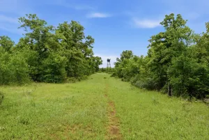 Bowie, TX 76230