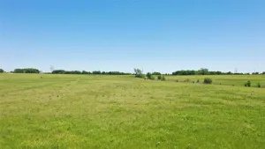 Celina, TX 75009