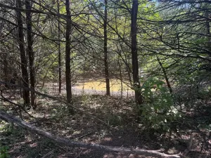 Whitesboro, TX 76273