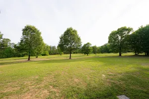 Carthage, TX 75633