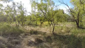 Caddo, TX 76429