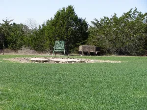 Gatesville, TX 76528