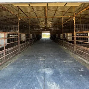 Pilot Point, TX 76258