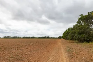 Marlin, TX 76661