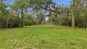 Hallettsville, TX 77964
