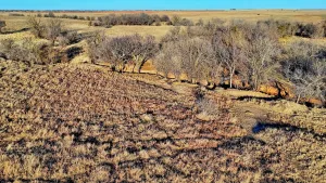 Petrolia, TX 76377