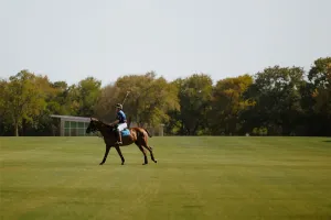 Cross Roads, TX 76227