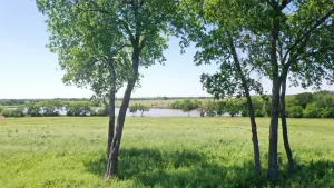Celina, TX 75009