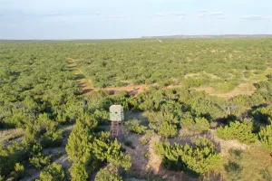 Robert Lee, TX 76945