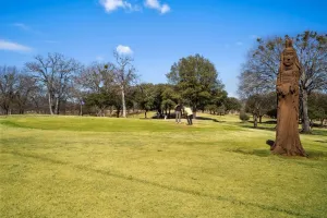 Scurry, TX 75158