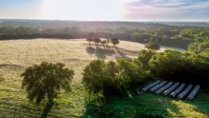 Alvord, TX 76225
