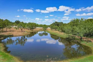 Horseshoe Bay, TX 78657