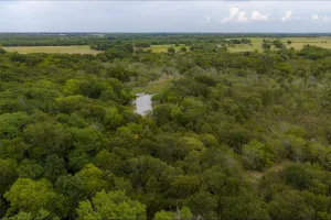 Wills Point, TX 75169