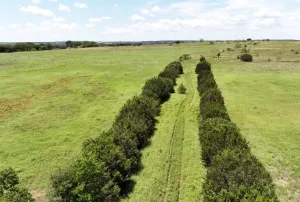 Gatesville, TX 76528