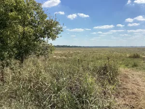Dawson, TX 76639