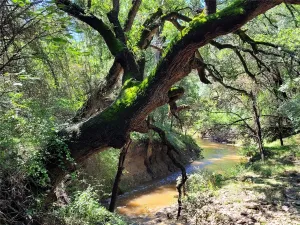 Lampasas, TX 76550