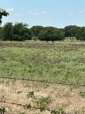Tioga, TX 76271