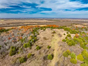 Bristol, TX 75119