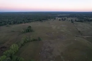 Henderson, TX 75654