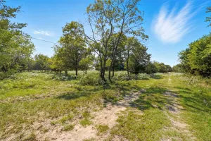 Lone Oak, TX 75453