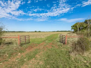 Meridian, TX 76665
