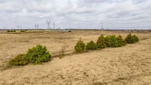 Brookston, TX 75421