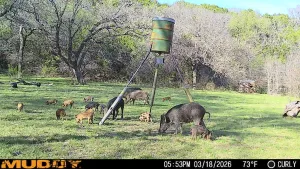 Graford, TX 76449